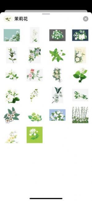 ���ŵ�����ios����δ���ߣ�