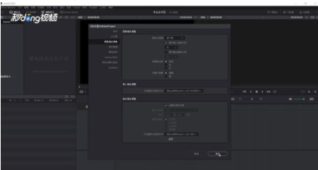 达芬奇调色15破解版如何调整图像缩放3