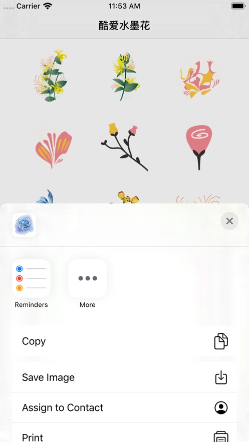 �ᰮˮī��app����δ���ߣ�