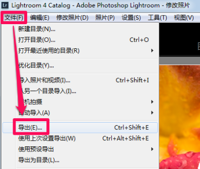 adobe lightroom截图18