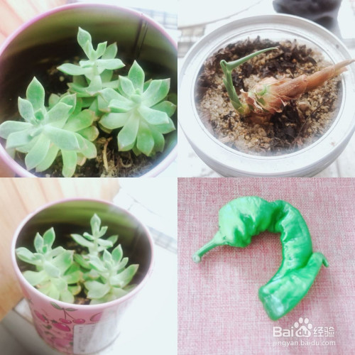 �����������ƴͼ����9