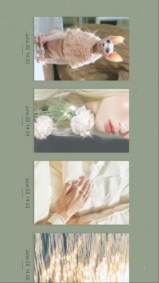 Chic Cam��׿���� v4.2 �ƽ��