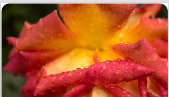 adobe lightroom截图26