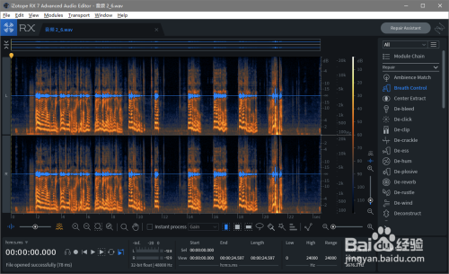 iZotope RXMP31