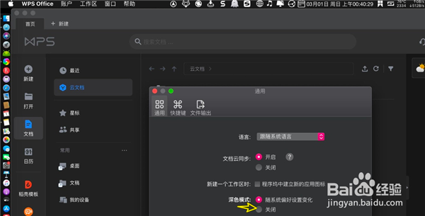 wps2021mac版如何设置主题皮肤3