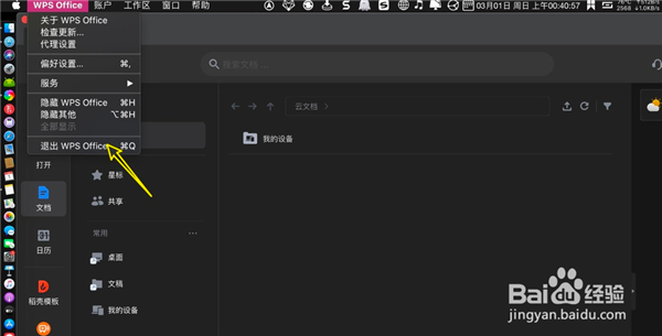 wps2021mac版如何设置主题皮肤6