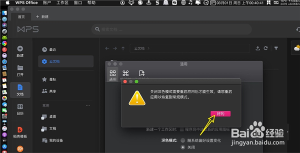 wps2021mac版如何设置主题皮肤4