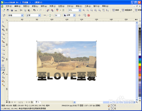 coreldraw2019ƽô͸3