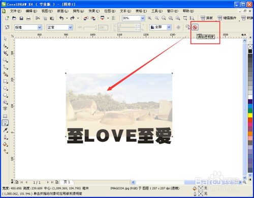 coreldraw2019ƽô͸4