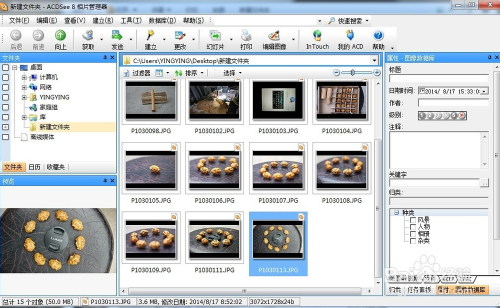 acdsee 8.0绿色版6