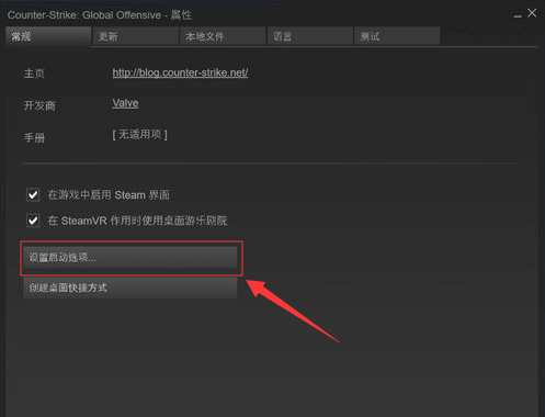 csgo国际服启动项代码使用方法5