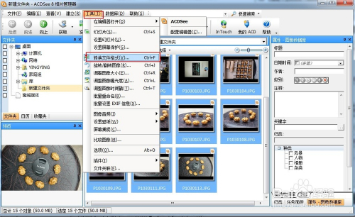 acdsee 8.0绿色版8