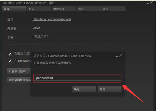 csgo国际服启动项代码使用方法6