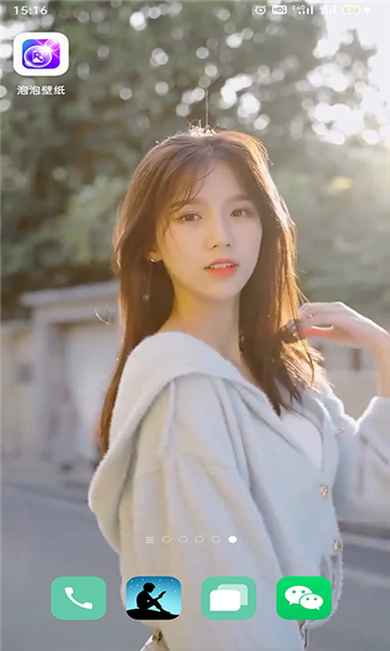 ���ݱ�ֽ��̬������v1.0.0ƻ����