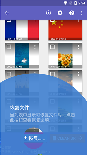 DiskDigger Pro��׿��������ɫ