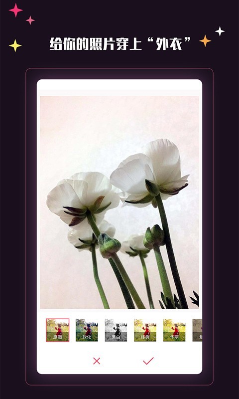 ����������ʽ������