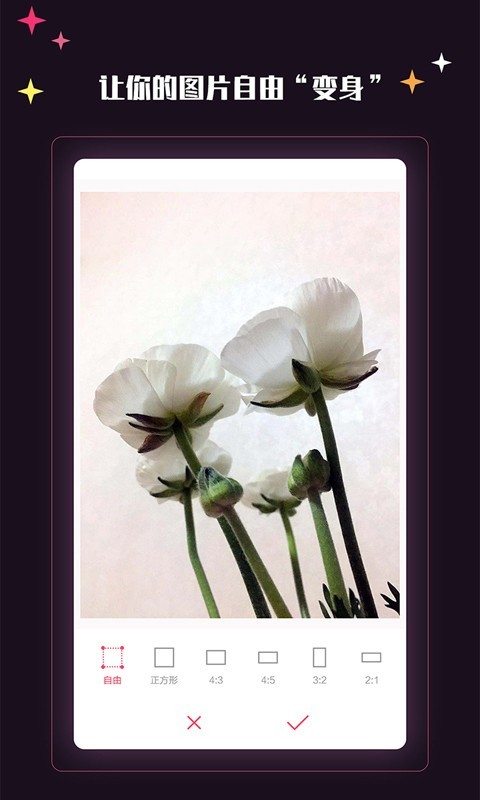 ����������ʽ������