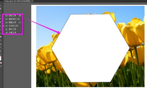 Adobe Illustrator 2020μͼƬ