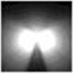 IES Viewer(图片查看软件)v2.99 正式版下载