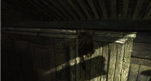 古墓丽影9登基大殿上不去