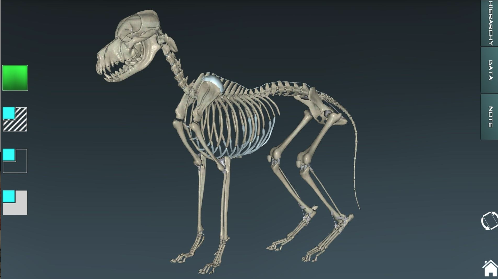 �������ѧͼ��app����