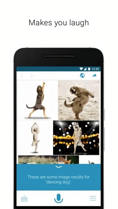 speaktoit��ʽ������