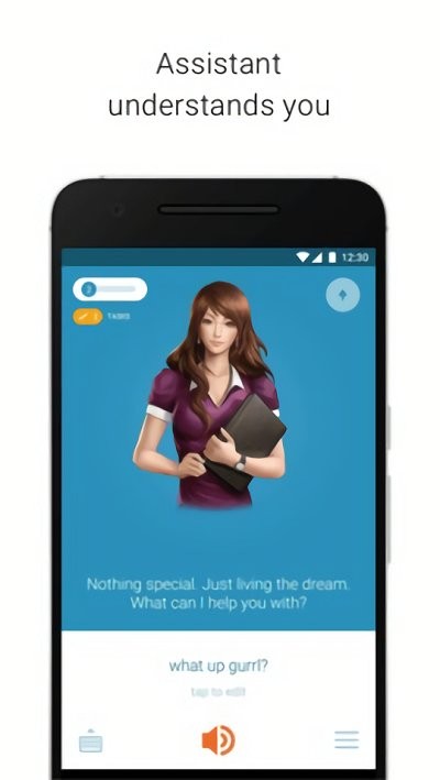 speaktoit��ʽ������