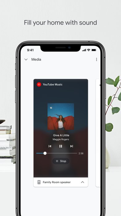 google home��ʽ������