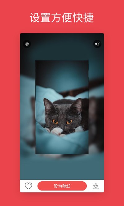 ��׿��̬��ֽ��Ѱ�����