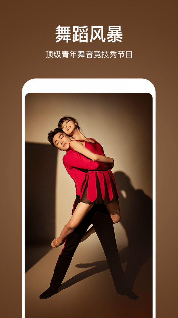 â��TV��ʽ�����ذ�װ