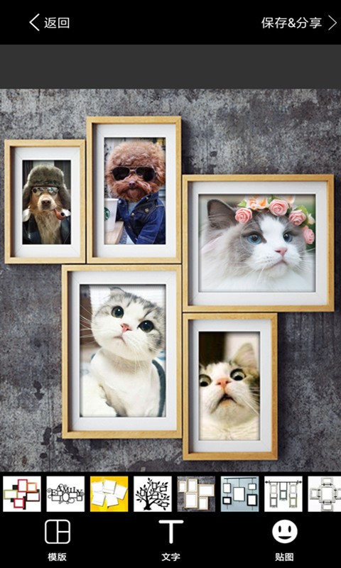 ��ܰ�ʺ���ͼ��Ѱ�