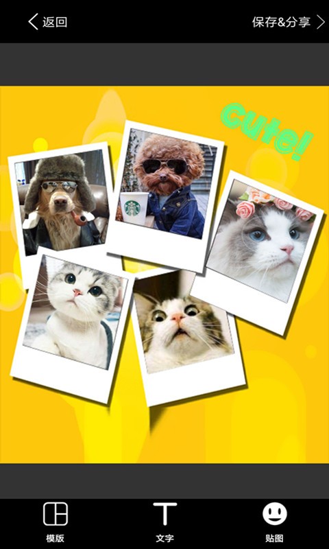 ��ܰ�ʺ���ͼ��Ѱ�