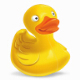 cyberduck v8.2.3.36880İ