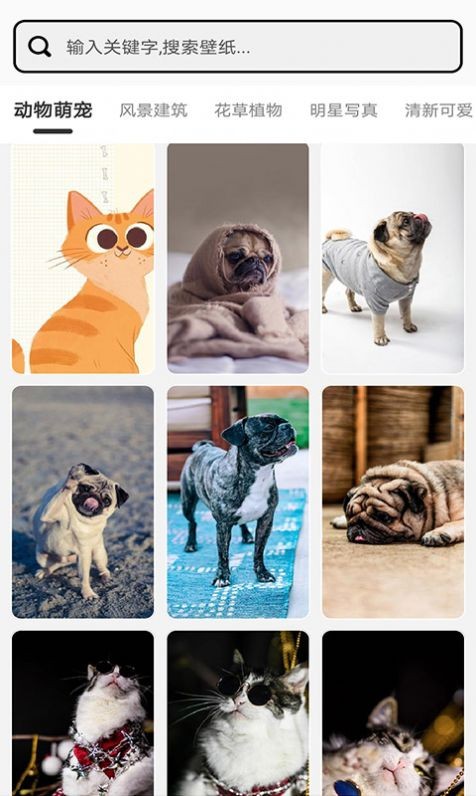 Ԫ��С�����Ѱ�