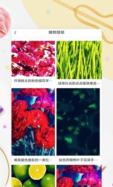 Mix��ֽ��ɫ������