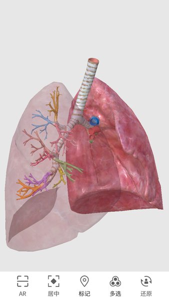 3d�������ͼ��app