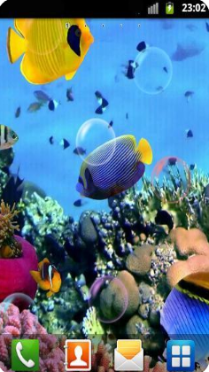 ˮ��ݶ�̬��ֽ��׿��