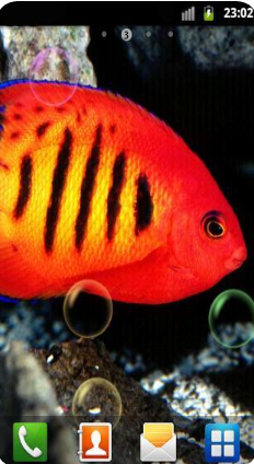 ˮ��ݶ�̬��ֽ��׿��