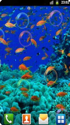 ˮ��ݶ�̬��ֽ��׿��