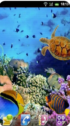 ˮ��ݶ�̬��ֽ��׿��