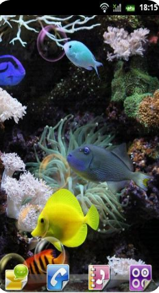 ˮ��ݶ�̬��ֽ��׿��