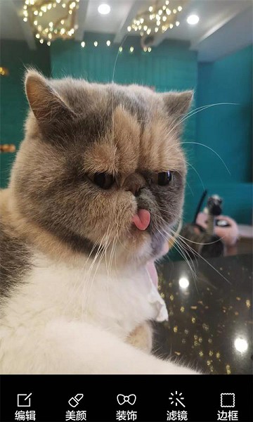 ���ұ���������������°�