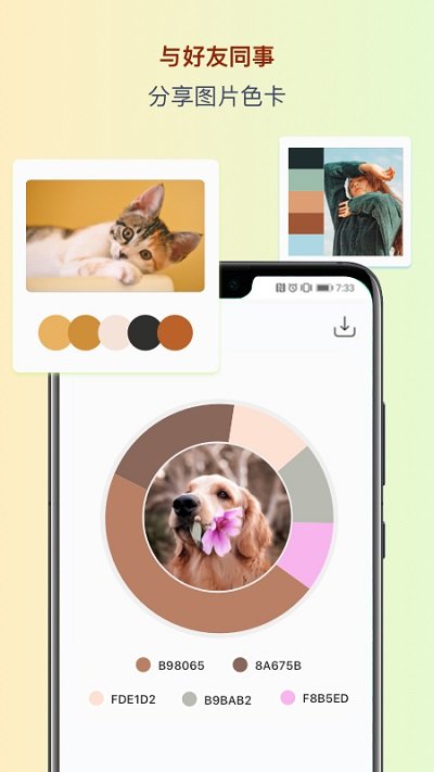 ɫ��������ɫ��app