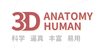 �ڴ��������app