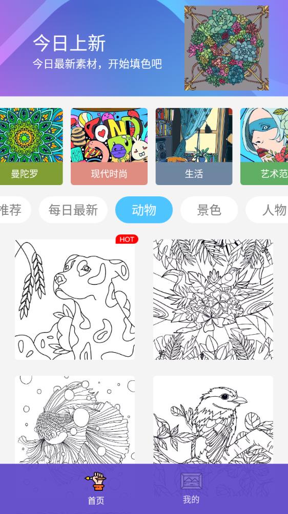 Paint������ɫ��׿��