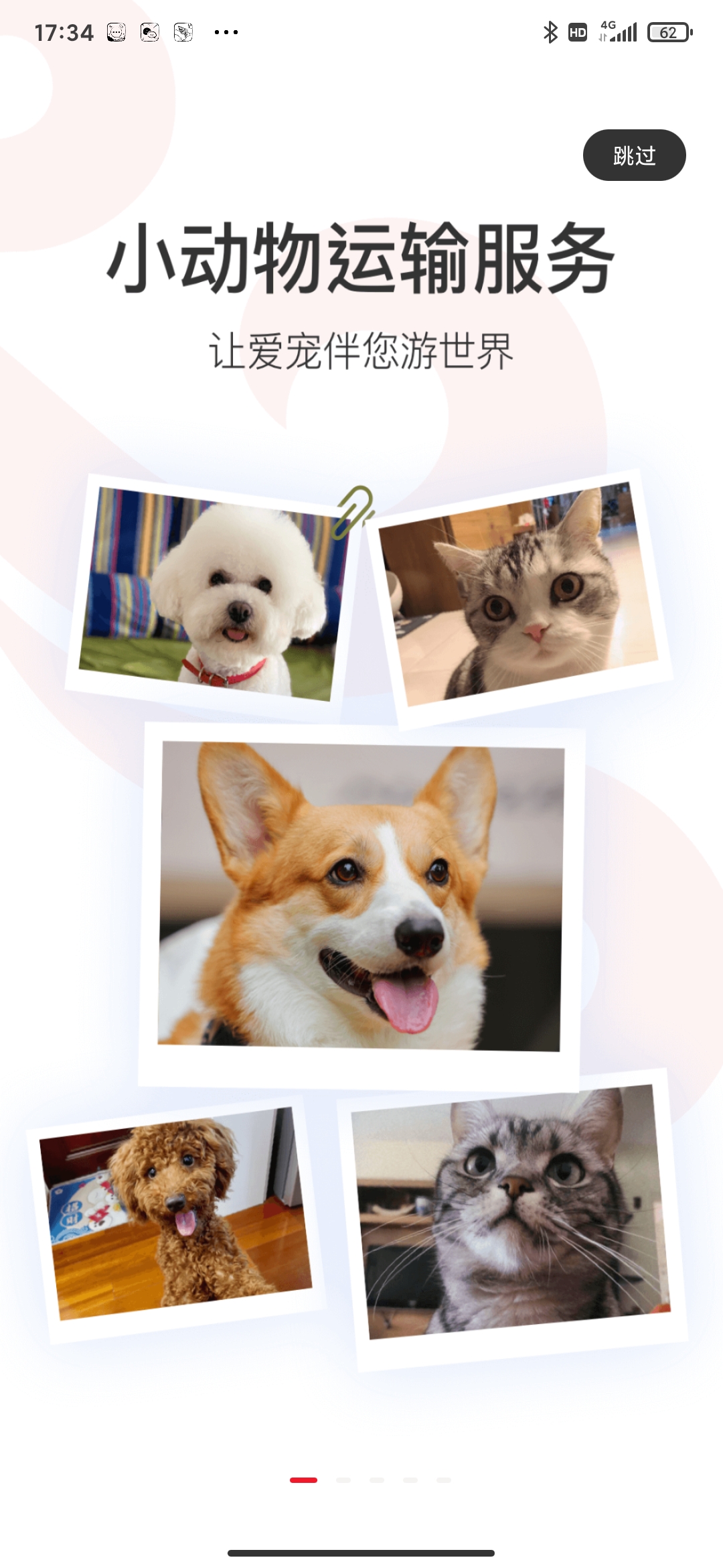 �й�����app