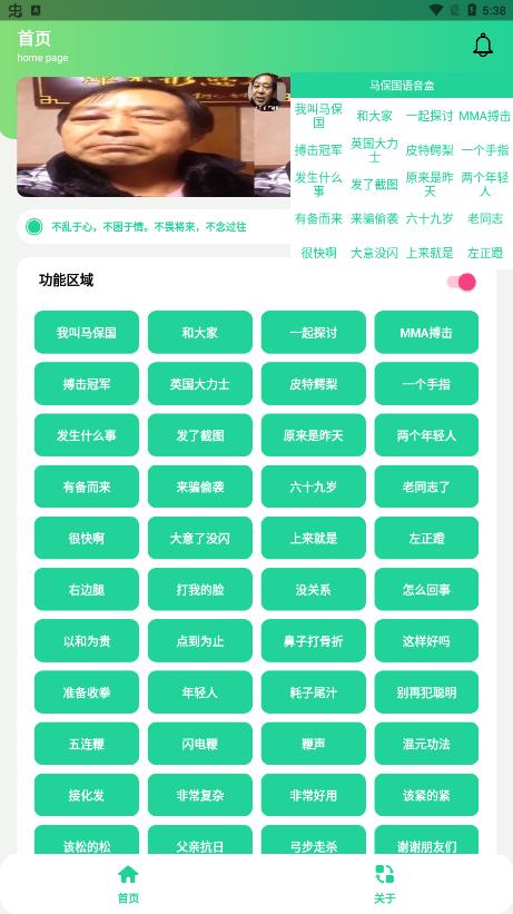 ��������app