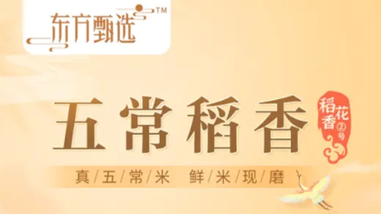 ������ѡ2